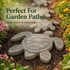 💥Last-Day Sale - Ocean Garden Art Mold